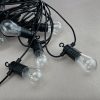 50mm 3D Addressable Pixel Led Bulb RGB/RGBW/RGBCCT DC12V/24V Clear Globe 30 Pixels/string 3 Core Xconnect