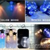 50mm 3D Addressable Pixel Led Bulb RGB/RGBW/RGBCCT DC12V/24V Clear Globe 30 Pixels/string 3 Core Xconnect