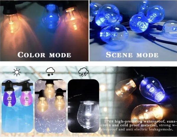 1748250375691 50mm 3D Addressable Pixel Led Bulb RGB/RGBW/RGBCCT DC12V/24V Clear Globe 30 Pixels/string 3 Core Xconnect