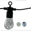 50mm 3D Addressable Pixel Led Bulb RGB/RGBW/RGBCCT DC12V/24V Clear Globe 30 Pixels/string 3 Core Xconnect