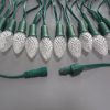C7 C9 Strawberry Pixel Led string WS2811 DC12V Addressable Christmas light IP68