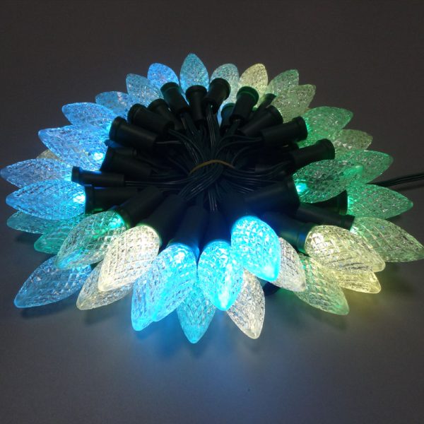 DSC00897 C7 C9 Strawberry Pixel Led string WS2811 DC12V Addressable Christmas light IP68