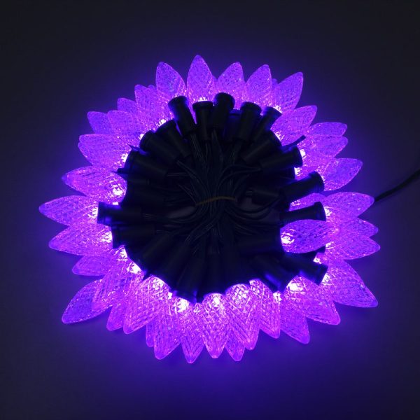 DSC00906 C7 C9 Strawberry Pixel Led string WS2811 DC12V Addressable Christmas light IP68