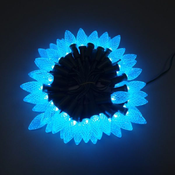 DSC00908 C7 C9 Strawberry Pixel Led string WS2811 DC12V Addressable Christmas light IP68