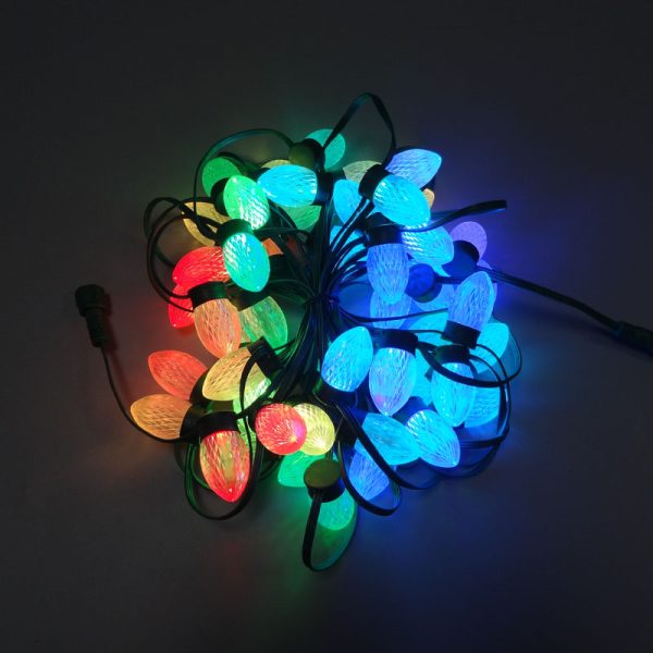 DSC00958 C9 flat base Pixel Led S24 bulb WS2811 DC12V 18awg Black wire Xconnect IP68 Christmas Lights
