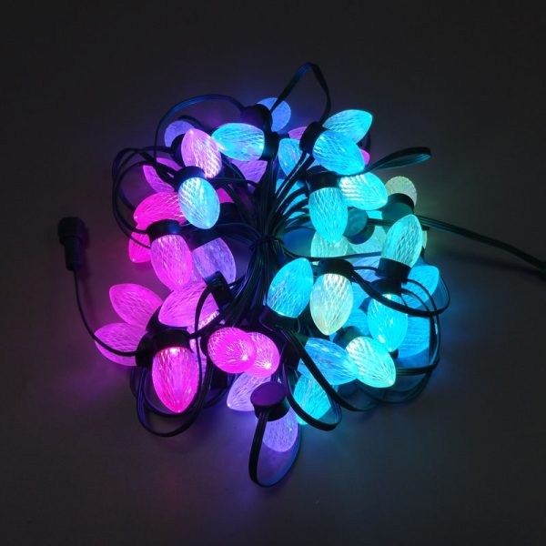 DSC00975 C9 flat base Pixel Led S24 bulb WS2811 DC12V 18awg Black wire Xconnect IP68 Christmas Lights
