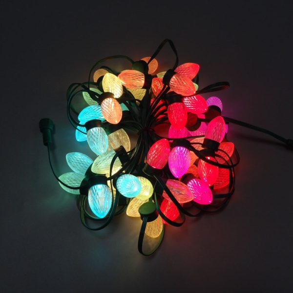 DSC00976 C9 flat base Pixel Led S24 bulb WS2811 DC12V 18awg Black wire Xconnect IP68 Christmas Lights