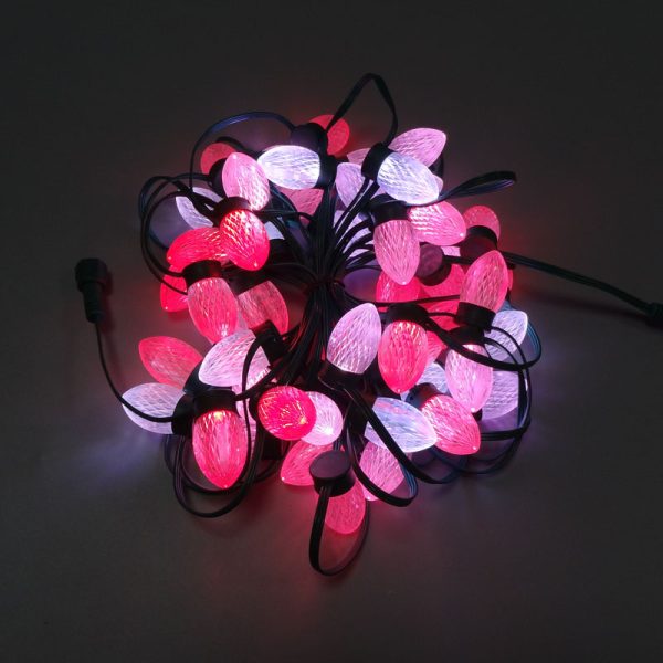DSC00979 C9 flat base Pixel Led S24 bulb WS2811 DC12V 18awg Black wire Xconnect IP68 Christmas Lights