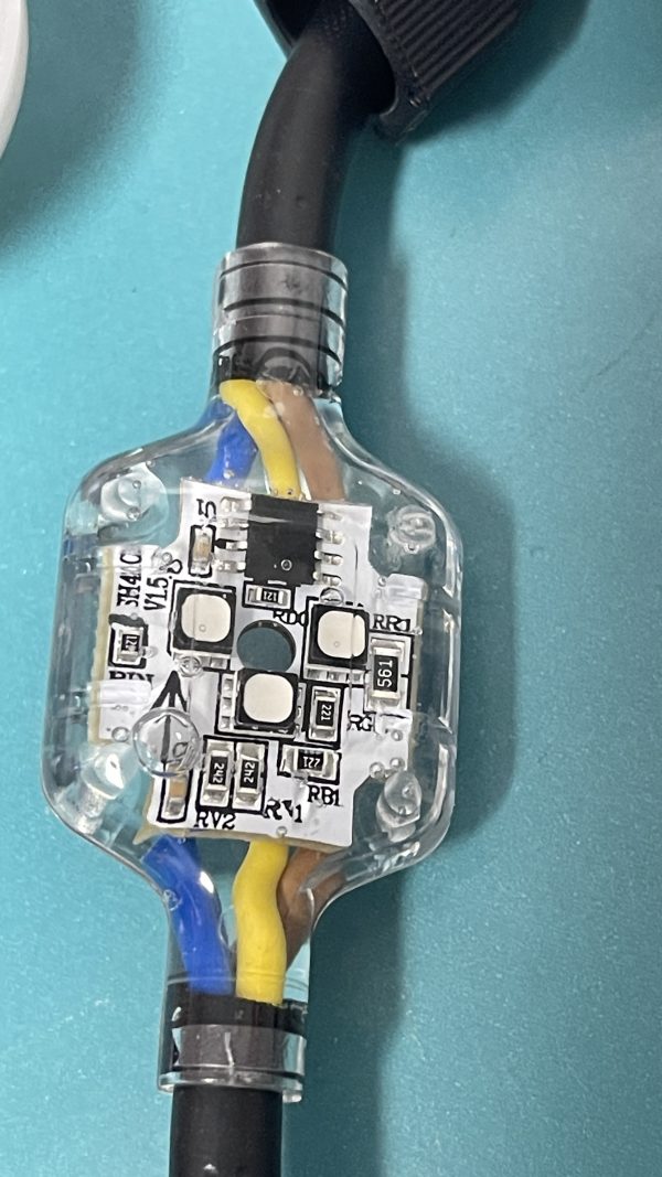 WechatIMG234 35mm 50mm Pixel led 3D bulb UCS1903 DC24V 10cts/40cts/50cts/String double side LEDs addressable full color