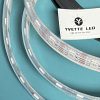 Pixel Led Strip WS2815ic Individually controlled DC12V 60leds/m 60pixels ic/m IP68 silicone tube full-filled epoxy Waterproof