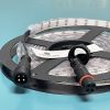 Pixel Led Strip WS2815ic Individually controlled DC12V 60leds/m 60pixels ic/m IP68 silicone tube full-filled epoxy Waterproof