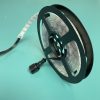 Pixel Led Strip WS2815ic Individually controlled DC12V 60leds/m 60pixels ic/m IP68 silicone tube full-filled epoxy Waterproof
