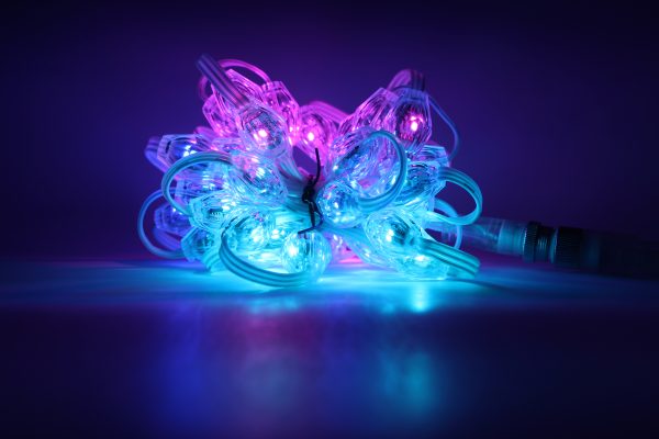 20mm Pixel led 3D bulb UCS1903 DC12V 20cts/50cts/String double side LEDs addressable full color